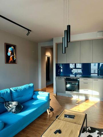 Mieszkanie typu loft, 42 m2 – 2 pok. winda i garaż - Zdjęcie 3