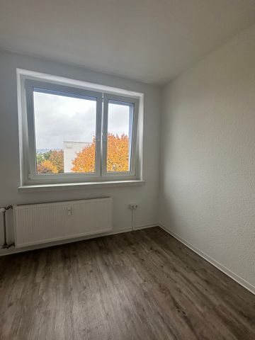 Schmiedeberger Str. 43, 01277 Dresden OT Tolkewitz / Seidnitz-Nord - Foto 2