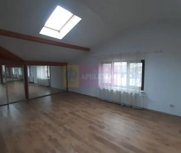Două vile tip duplex de închiriat - zona Antiaeriană - Photo 3