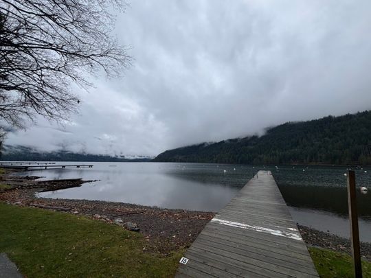Steps to the Beach at Cultus Lake - Photo 1