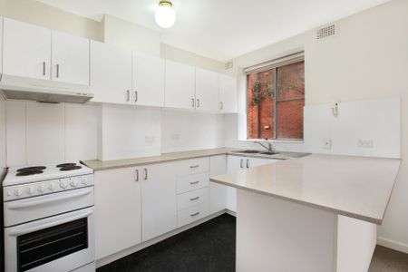 Charming One-Bedroom Ground Floor Apartment near Unsw - Photo 3