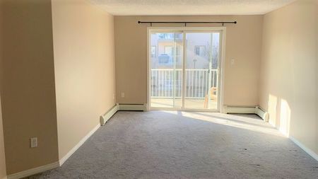 2 Bedroom Condo For Rent In Ellerslie/ Heat & Water Included! - Photo 4