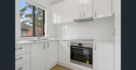 Renovated 1 bedroom Unit with Large Balcony - Photo 2