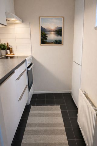 Södra Förstadsgatan 126 - Photo 2