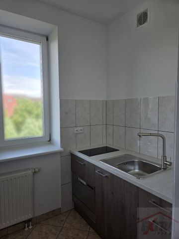 MIESZKANIE na WYNAJEM SZCZECIN (437686) - Zdjęcie 2