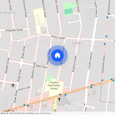 19 Beresford Avenue, NSW 2133, Croydon Park