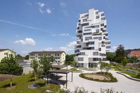 Luxuriöse voll möblierte Wohnung in Münchenstein, als Zwischennutzung zu vermieten - Foto 2