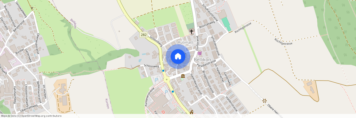 5454, Bellikon, Lindenweg, 11