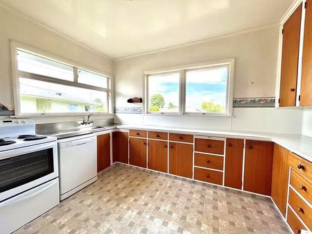 Beautiful Golden Oldie in Te Rahu Road, Te Awamutu - Photo 4