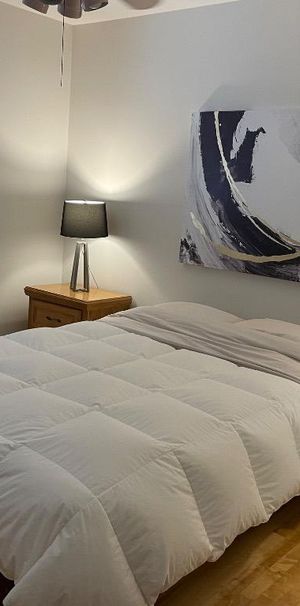 🏡 Grand 3 ½ à louer – Meublé / Chauffé / Éclairé/ Lave-vaisselle -Trois-Rivières - Photo 1