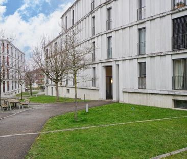 En pleine campagne - au milieu de Zurich - Photo 1