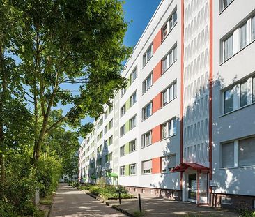 Burger Hof 4 - Harzer-Karree - Foto 6