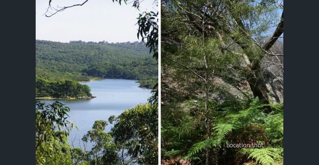 Ocean views in prime Manly Vale setting - Photo 1