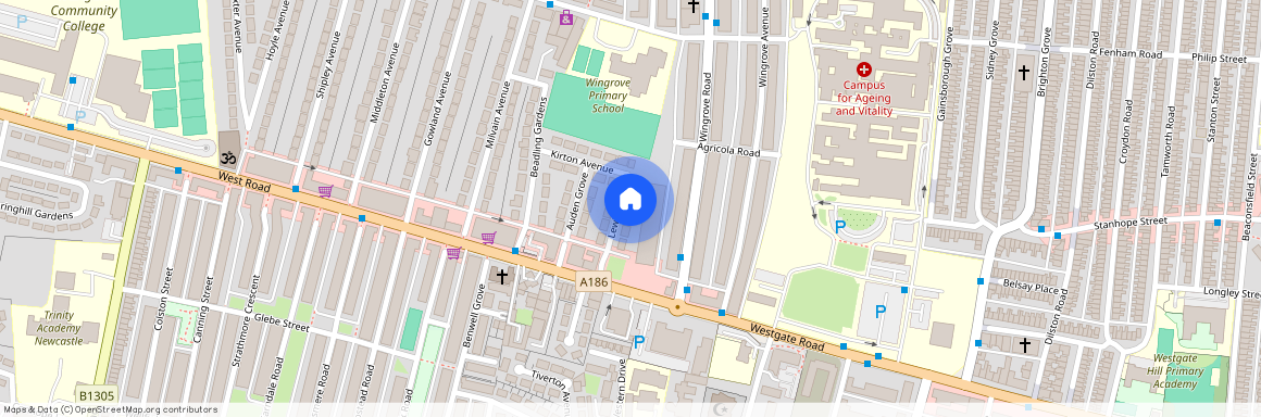 Lewis Drive, Newcastle upon Tyne NE4