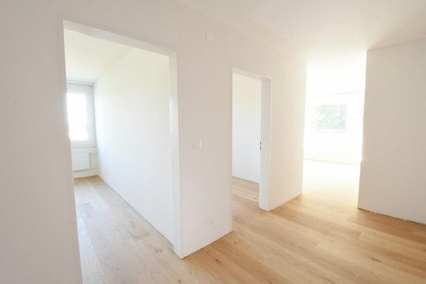 Helle 3.5-Zimmer-Wohnung mit Balkon im ruhigen Lerchenbühlhöhequartier - Foto 1