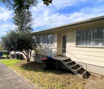 3 Bedrooms on Mataroa Rd - Photo 2