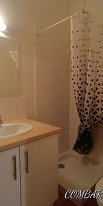 Location Appartement 2 pièces 47m² - Photo 3