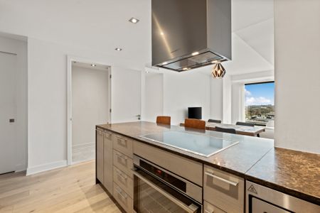 Condo for rent, Montréal (Le Sud-Ouest) - Photo 4