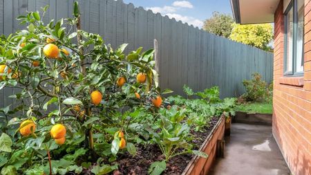 Charming 3BR Home with Garden in Papakura - Photo 2