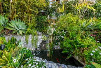 Chalet Independiente en alquiler en Benajarafe – Málaga | Gilmar