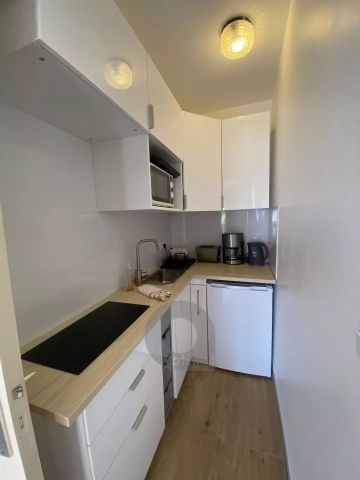 Location Appartement 1 pièce 24m² MENTON 06500 - Photo 3