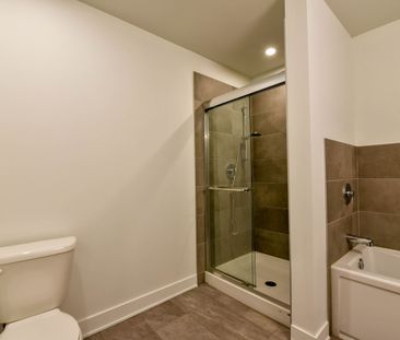 9675 Av. Papineau - Photo 6