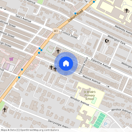101B Malone Avenue, BT9 6EQ, Belfast