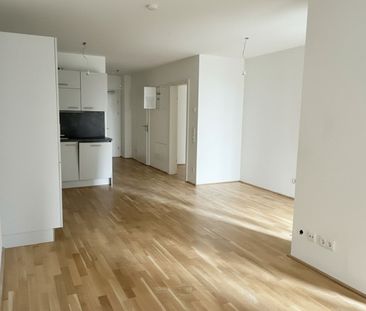 Moderne 3 Zi Wohnung mit Garten - nahe U1 - Photo 1