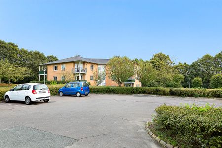 Afd. 16 Teglparken - Photo 4