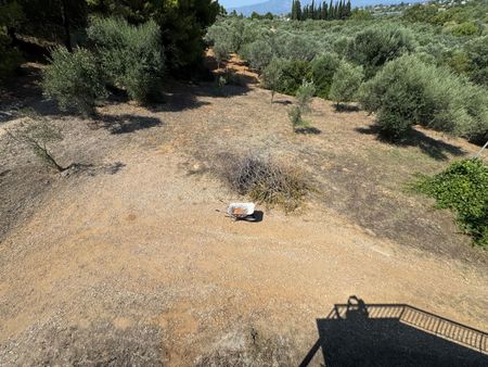 Διαμέρισμα για ενοικίαση Κάμπος Ωρωπού (Ωρωπός) - Photo 2