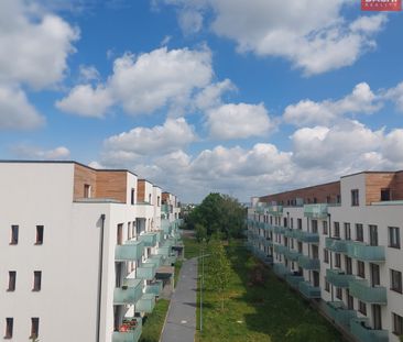 Pronájem bytu 1+kk a garsoniéry 31 m², Třída Jiřího Pelikána, Olomouc - Photo 4