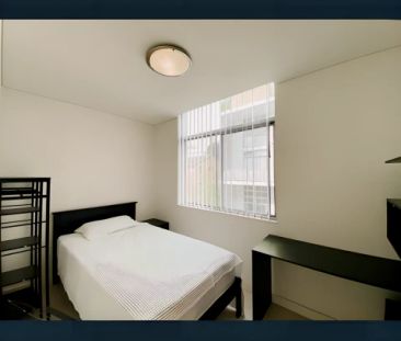 17 Wilga Street, Sydney - Photo 2