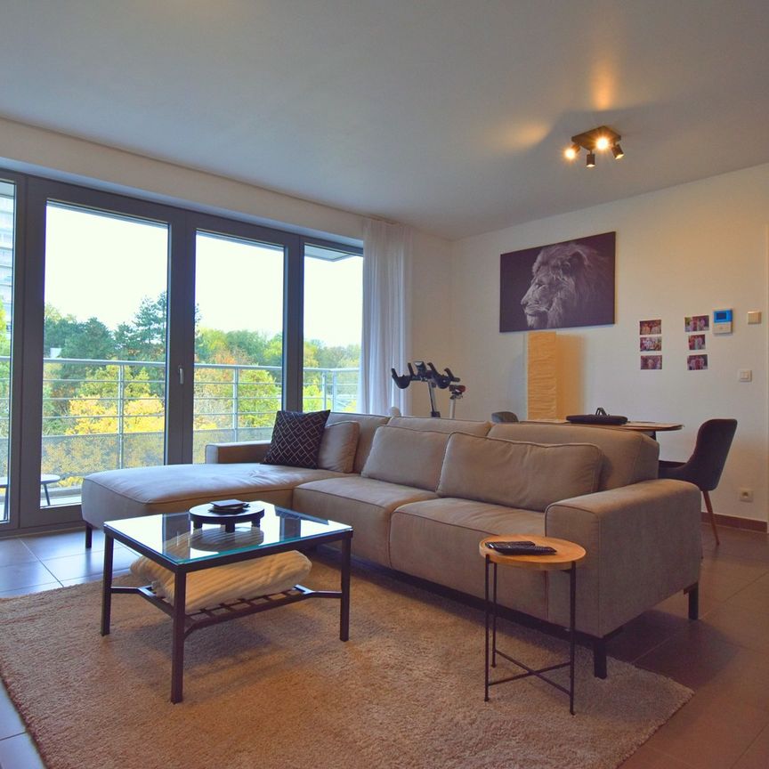 Recente 1 kamer appartement met terras en staanplaats. - Foto 1