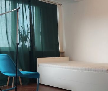 mazowieckie, Warszawa, Śródmieście, Śródmieście Północne, Niska - Zdjęcie 1