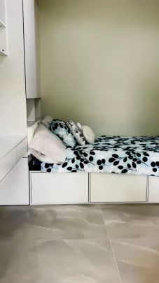 80 Botany St, Sydney - Photo 1