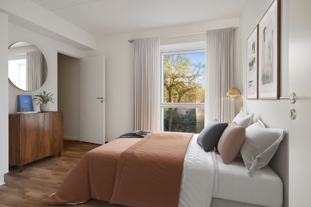 Hollænderen 2, 3. TV - Photo 1