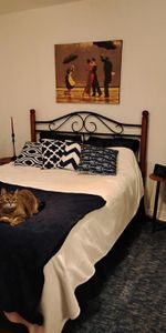 4 1/2 - Montréal (Montréal-Nord) - 1 520 $/mois - Photo 4