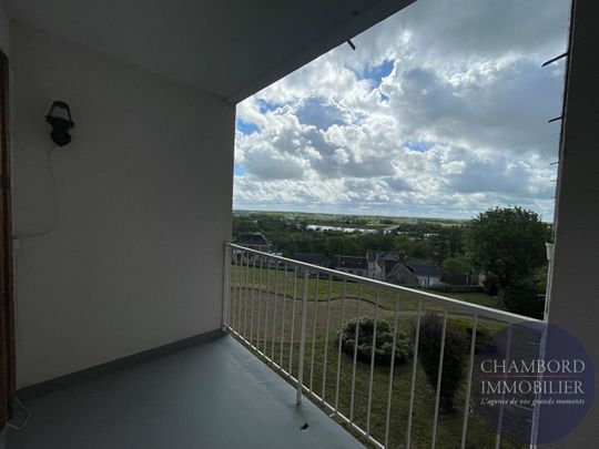 Blois - T3 avec balcon - Photo 1