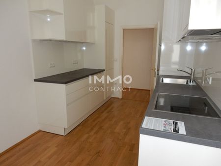 6-Zimmer-Wohnung zwischen Spiegelgasse und Dorotheergasse - Photo 3
