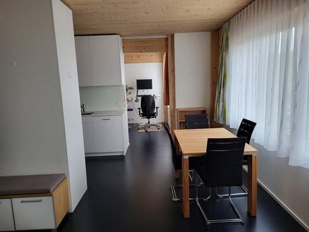 Traumhafte Wohnung in Birmensdorf zu vermieten! - Photo 3