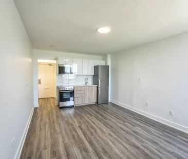 35 David Salomon — Bachelor Renovated - Photo 3