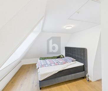 PANORAMIC VIEW OF THE BODENSEE - Photo 3