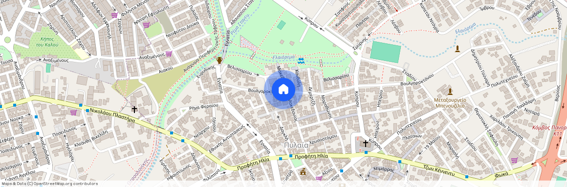 Βουλγαροκτόνου Βασιλείου 18, Πυλαία 55535