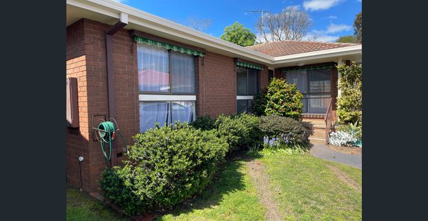 Walk To Main Street- 3 Bedroom Unit - Photo 1