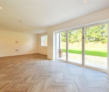 Canes Lane, Hastingwood, Essex - Photo 1