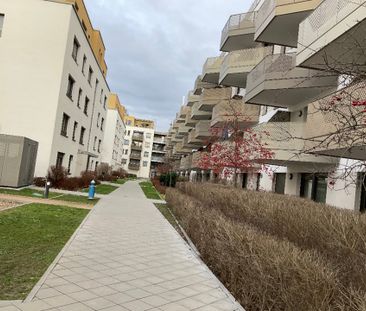 Mietwohnung in Ludwigshafen - Tolle Wohnung mit Balkon in Rheinnähe - Foto 1