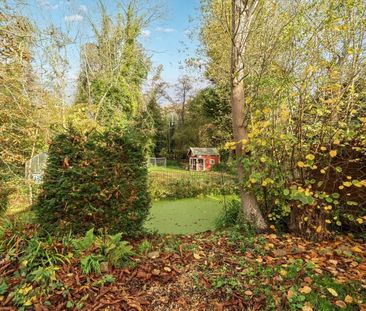 1 bedroom mews to rent - Photo 5