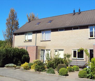 Plataan 16 - foto 4