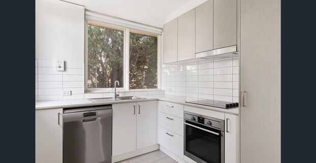 Spacious with a Leafy Outlook - Photo 1