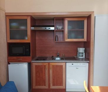 Location Appartement 1 pièce Meublé 36m² LE CROISIC 44490 - Photo 4